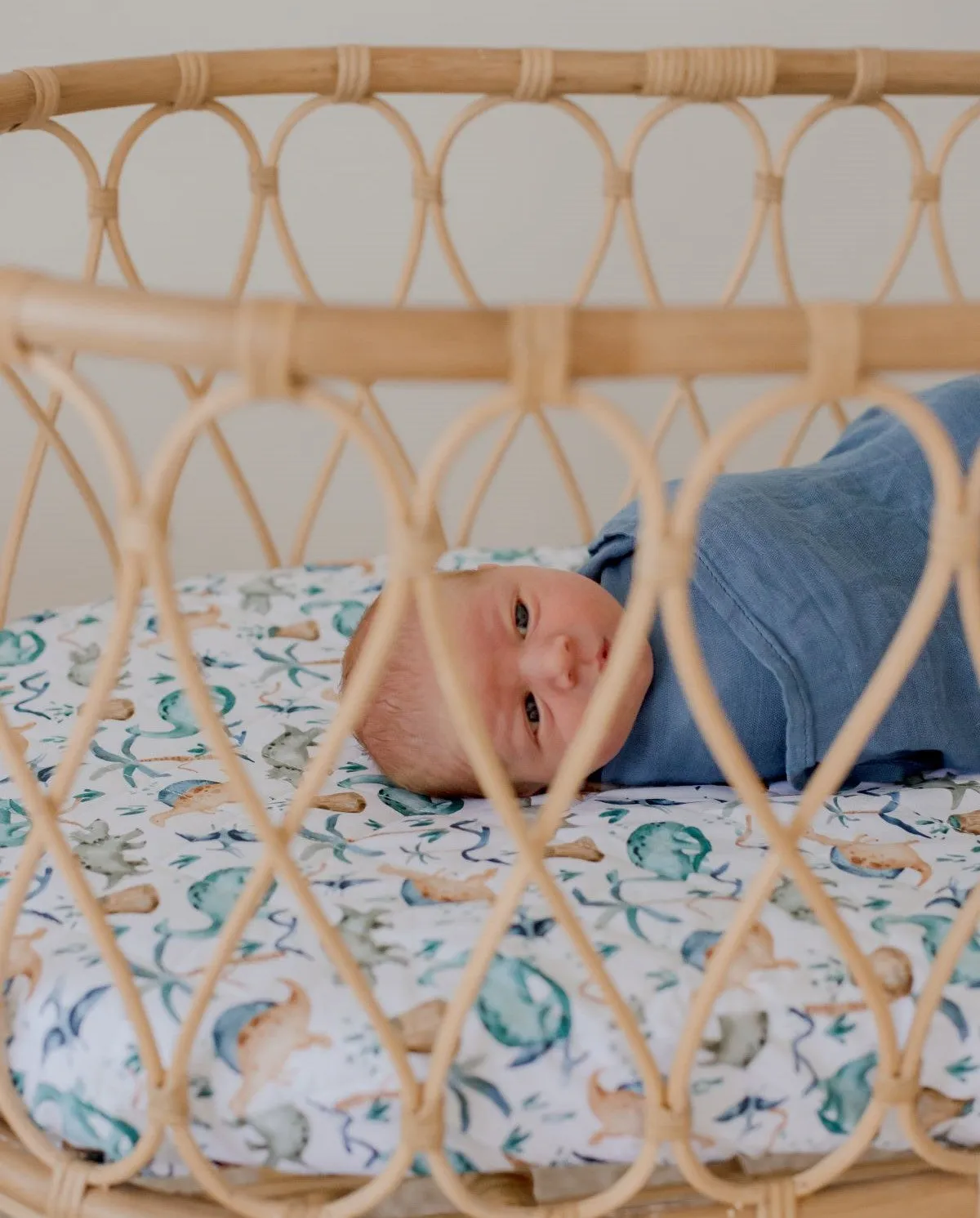 Bambella Waterproof Bassinet Sheet | Wild Dinos