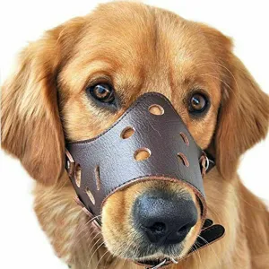 Breathable Dog Biting Muzzle Mouth Guard
