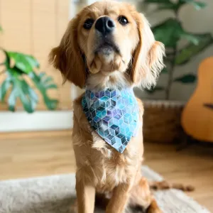 Cosmic Stardust Bandana