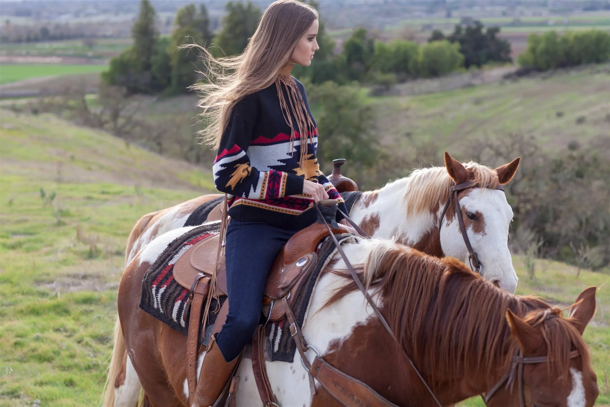 Gone With The West Aztec Pullover Sweater