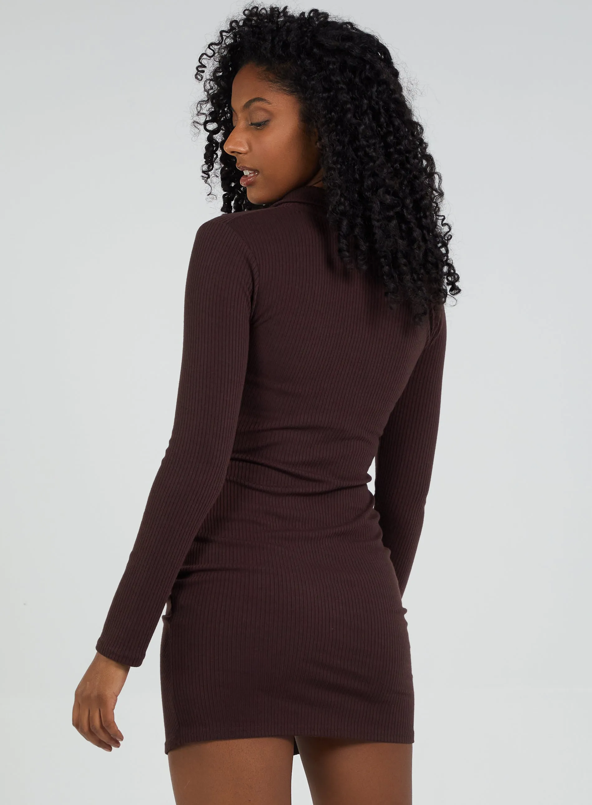 Long Sleeve Ribbed Mini Dress