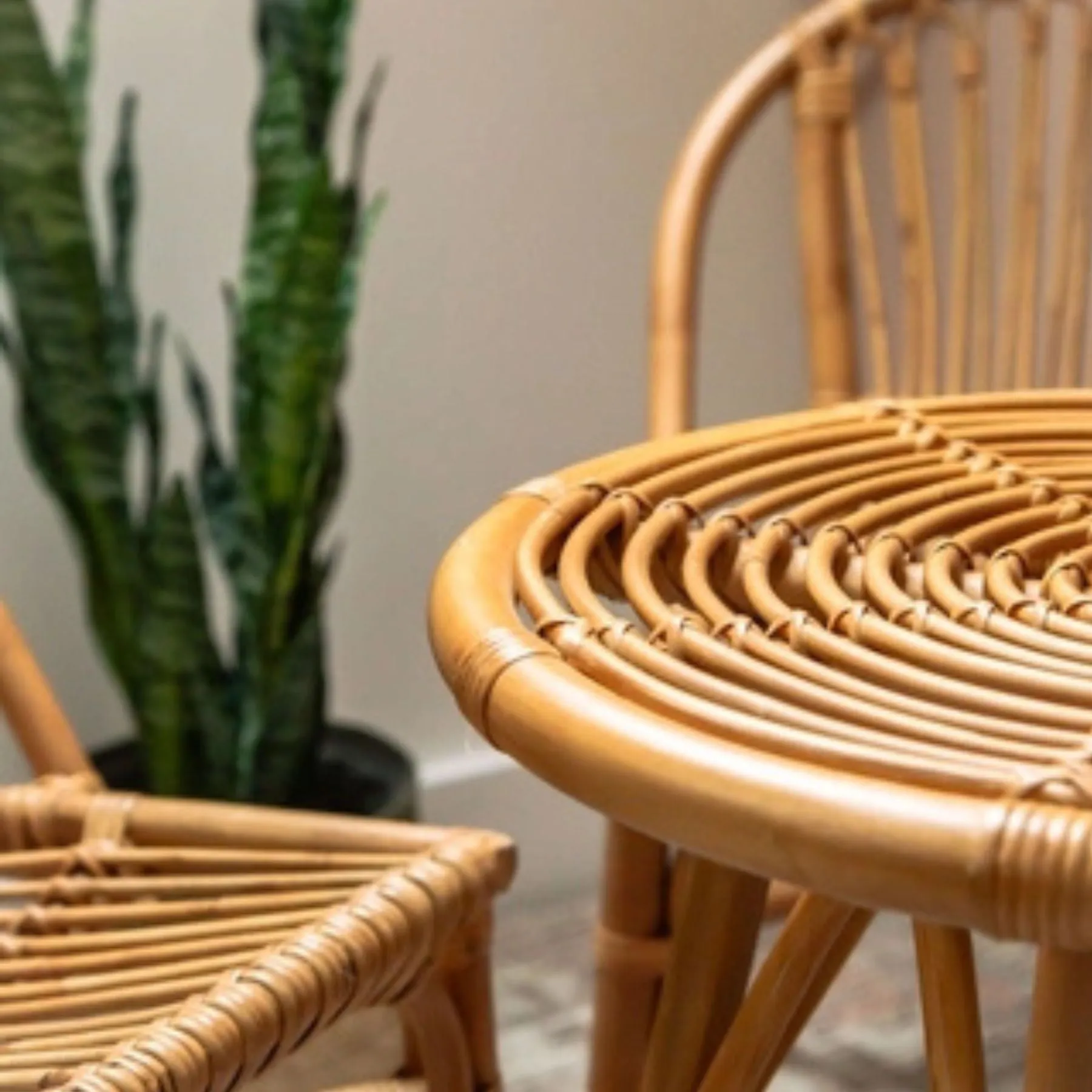 Rattan Kids' Table   Two Chairs Set