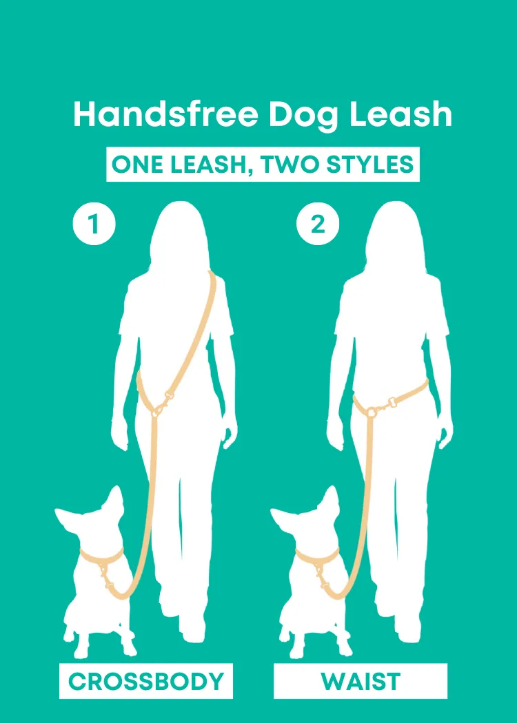 Ruby Red - Splashproof Handsfree Dog Leash