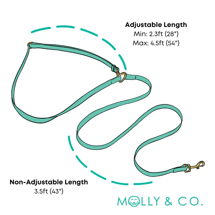 Ruby Red - Splashproof Handsfree Dog Leash